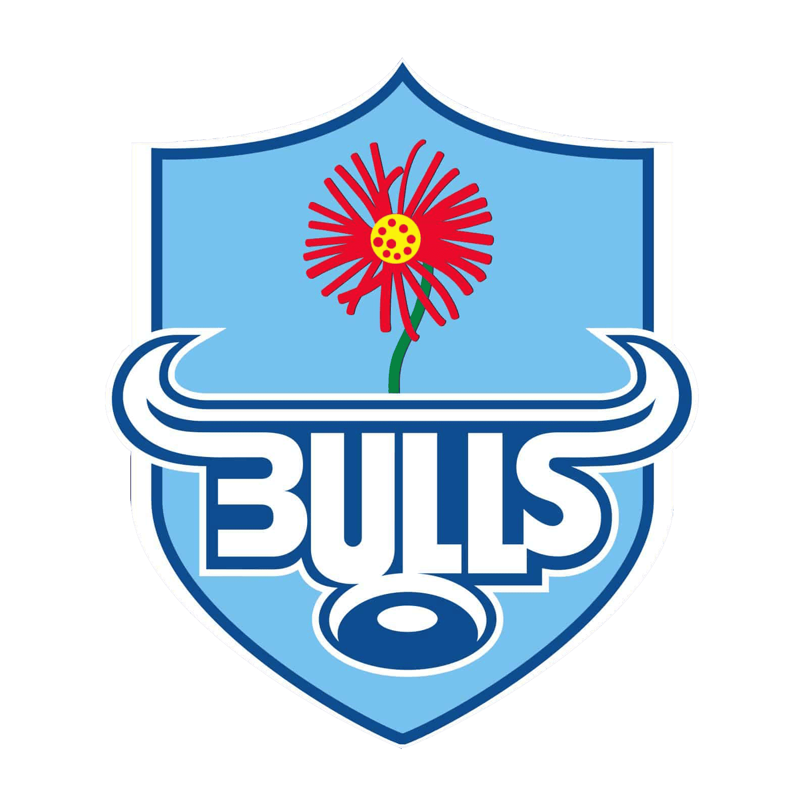 Vodacom Bulls