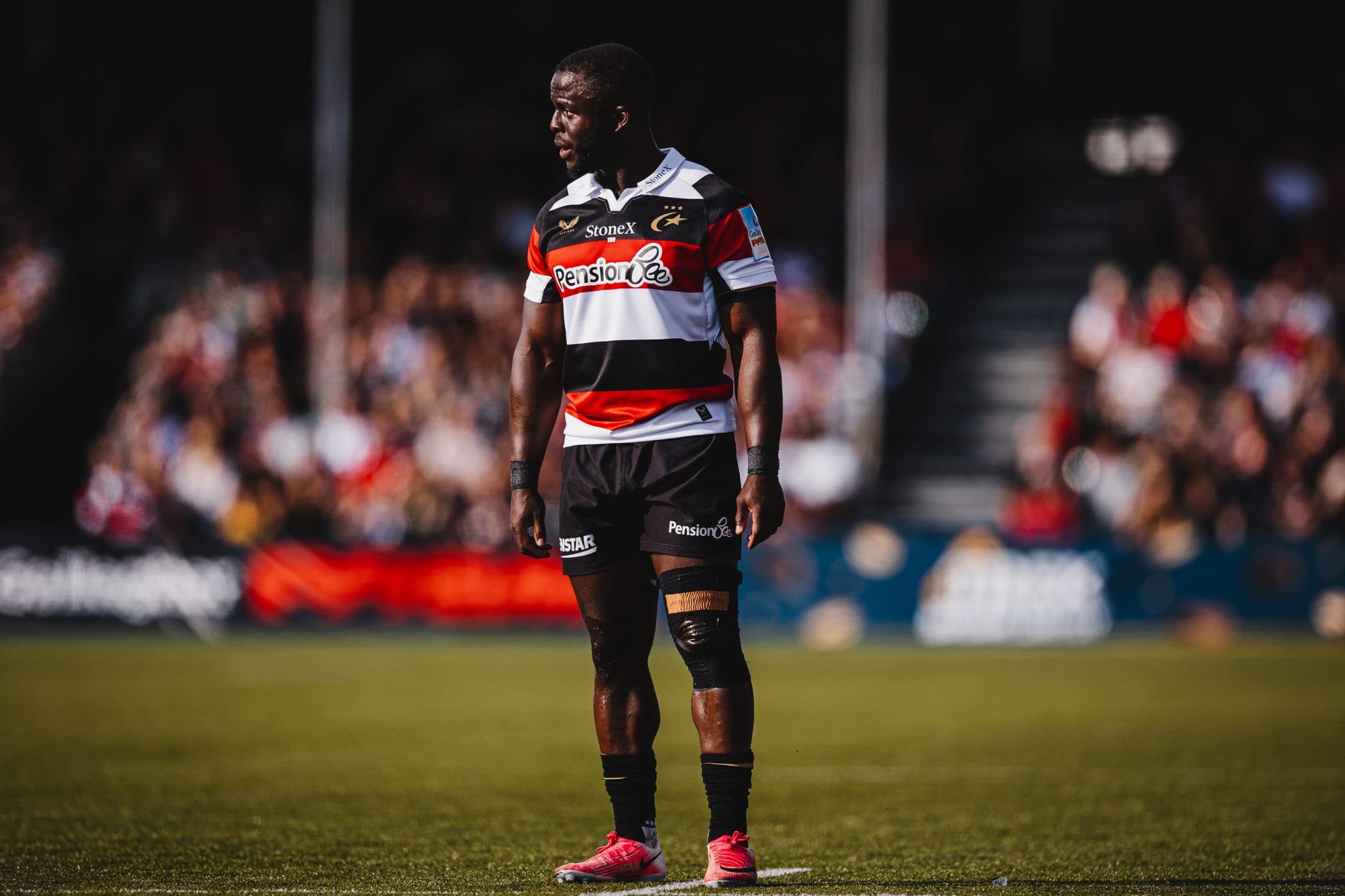 Saracens v Sale Sharks