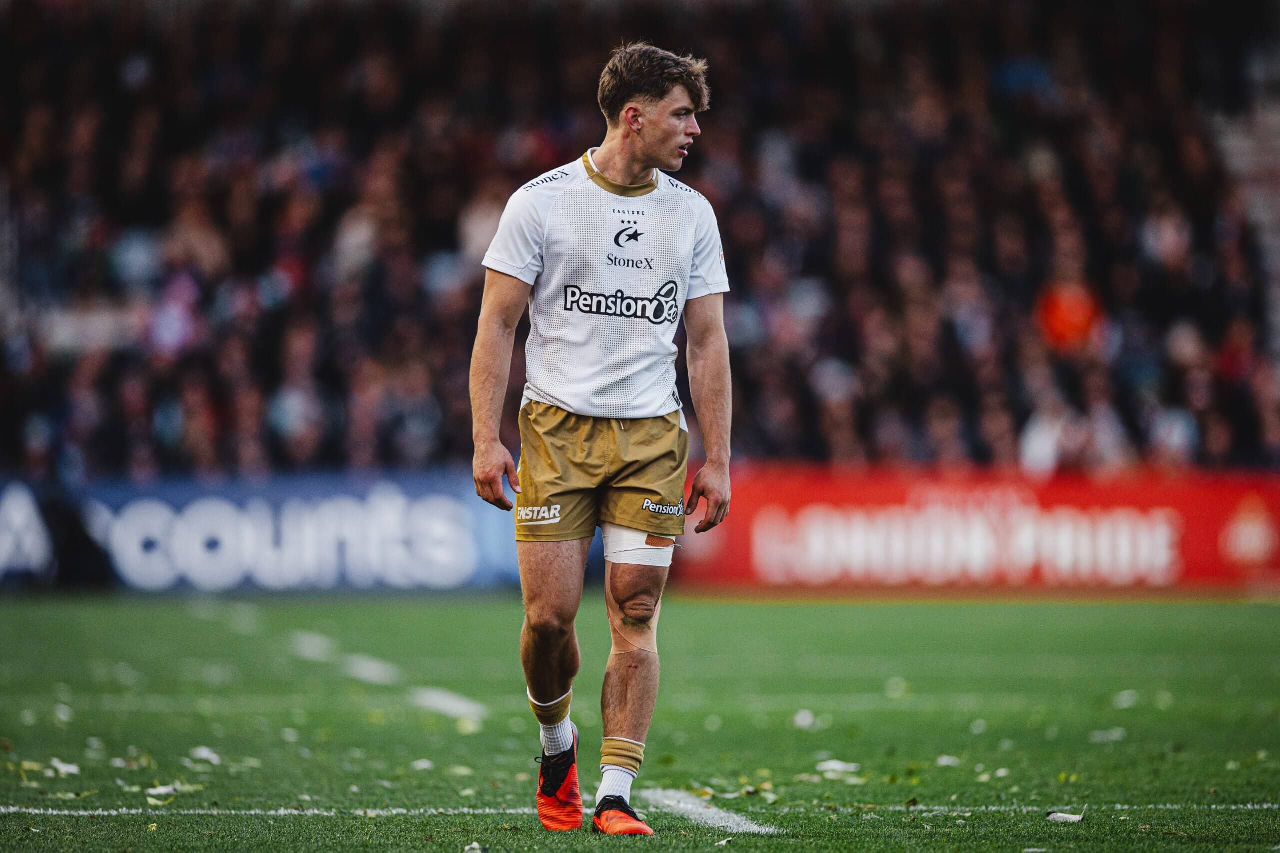 Harlequins v Saracens