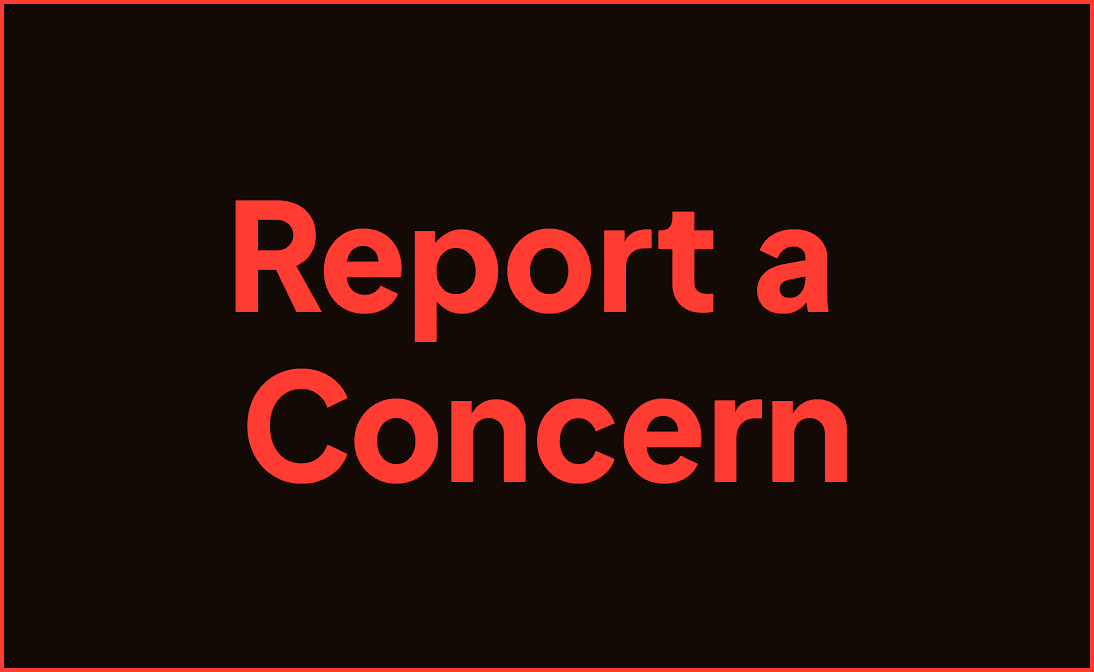 Report a Concern website